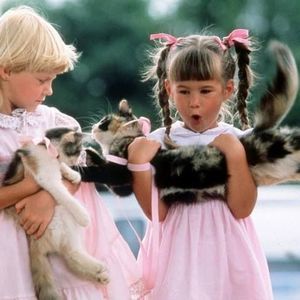 Meet your Posher, Jill